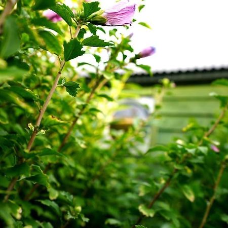 Romantic Retreat - Luxury Shepherds Hut + Hot Tub! Camborne Εξωτερικό φωτογραφία